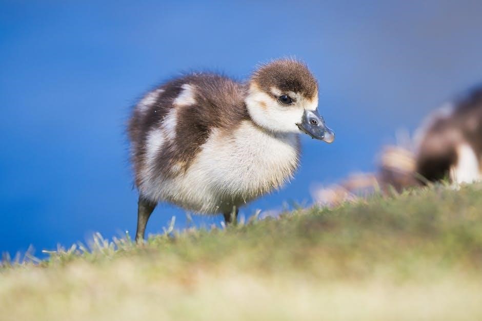 to kill a moking bird pdf